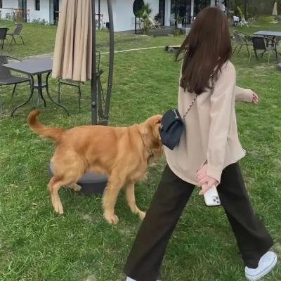 独战